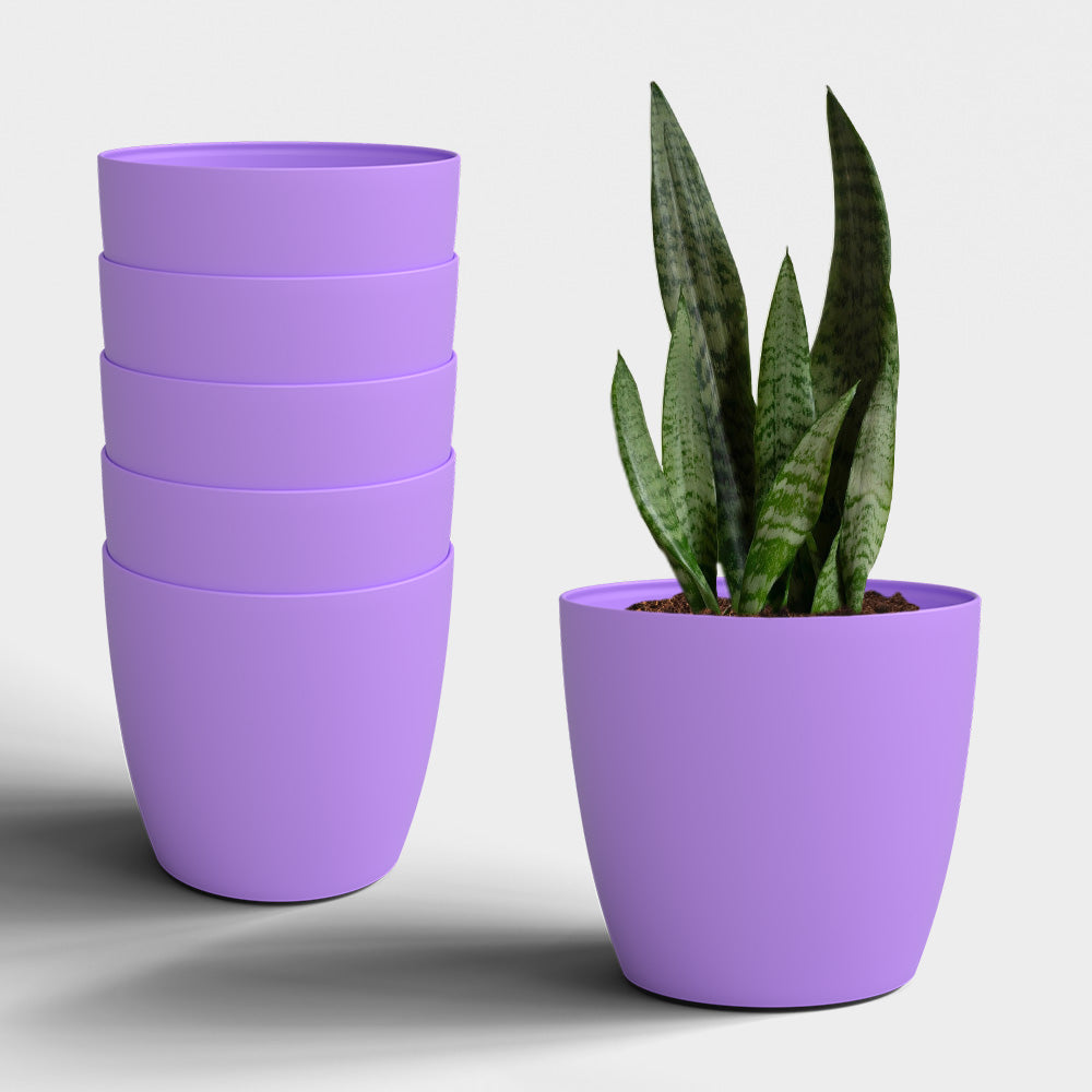 SHERA | STELLA GARDEN PLANTER