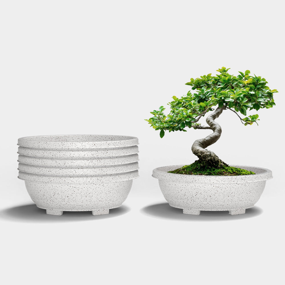 SHERA | BOTANICA TRAY PLANTER