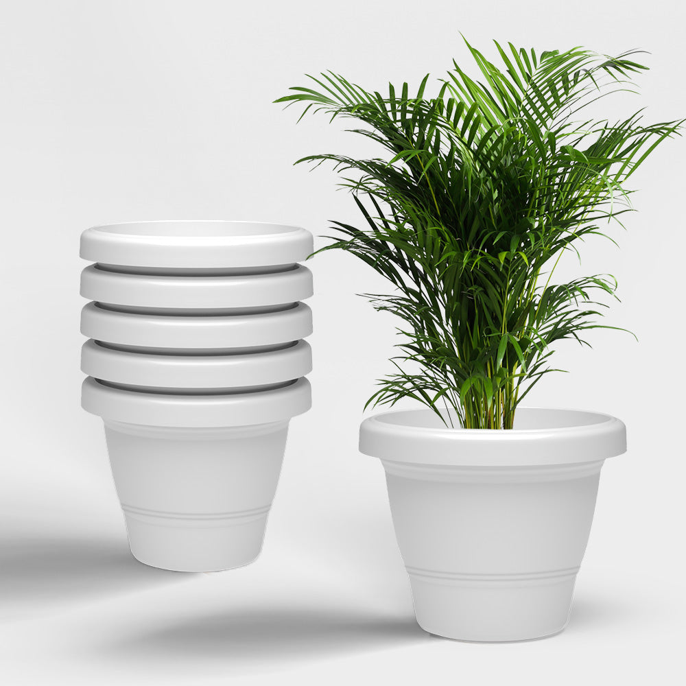 SHERA | SD PLANTER