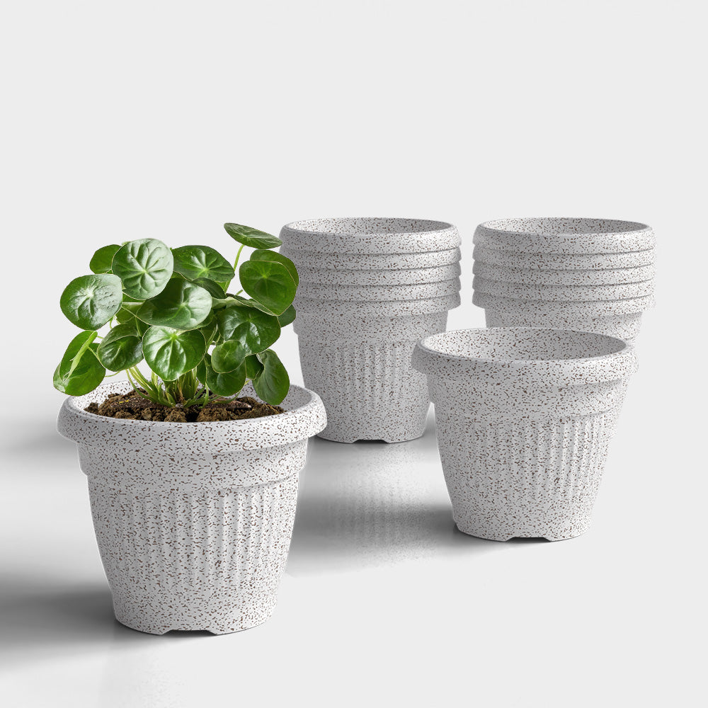 SHERA | BLOOM PLANTER