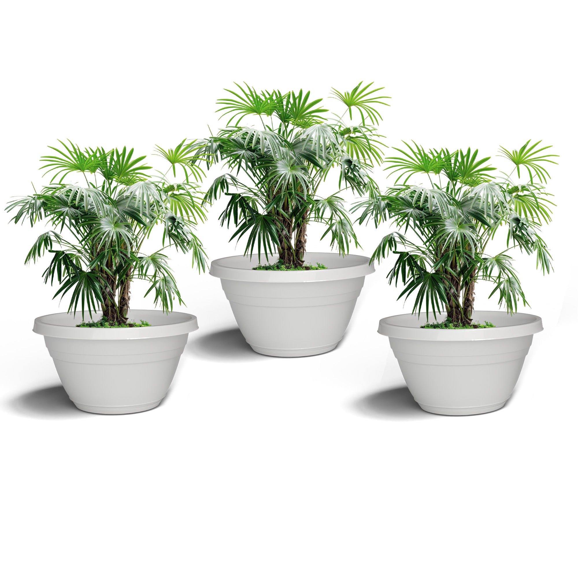 SHERA | BOTANICA BONSAI KTR PLANTER