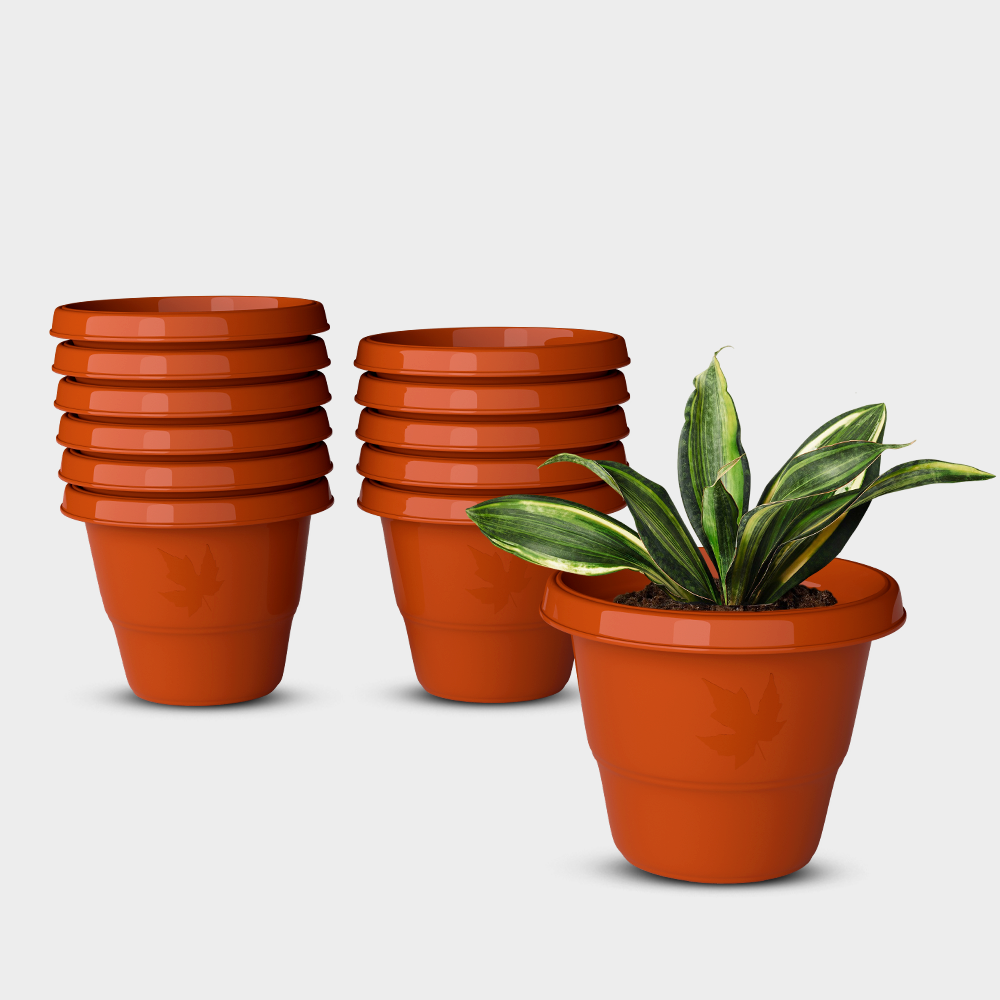 SHERA | RD PLANTER
