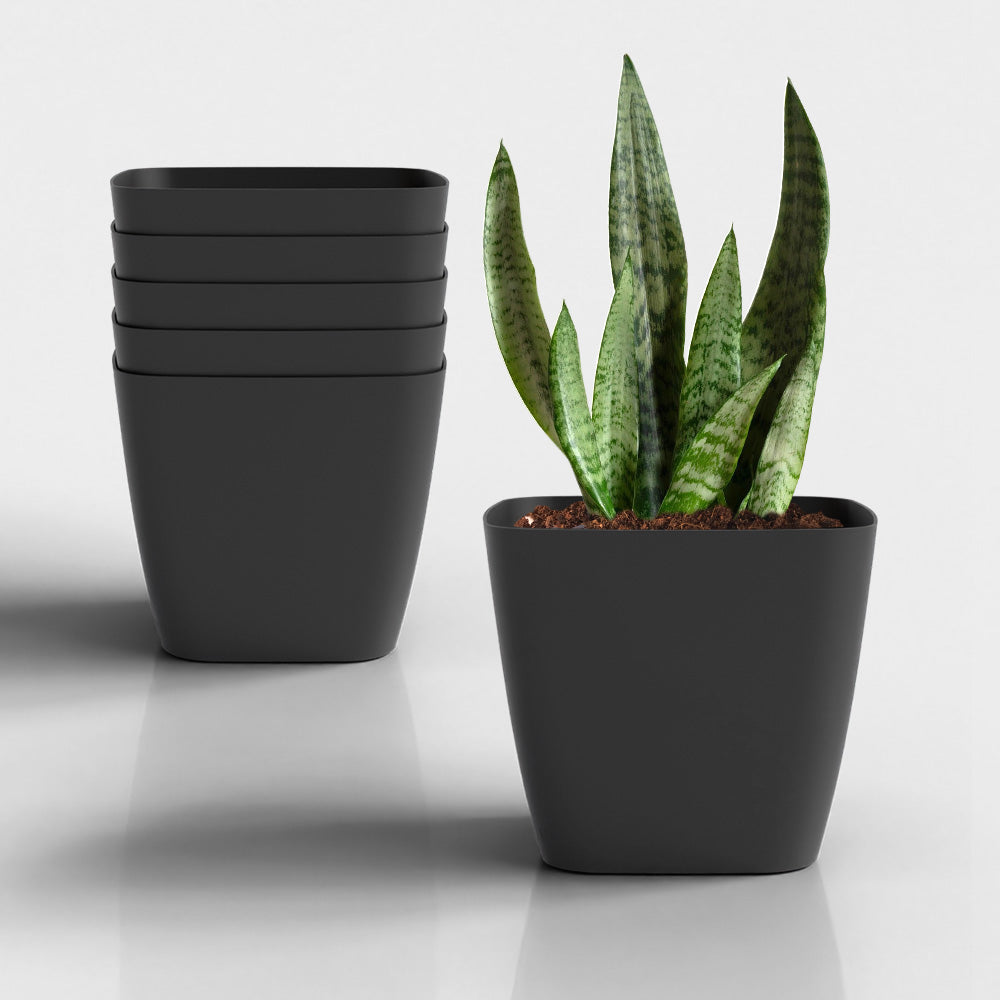 SHERA | STOIC PLANTER