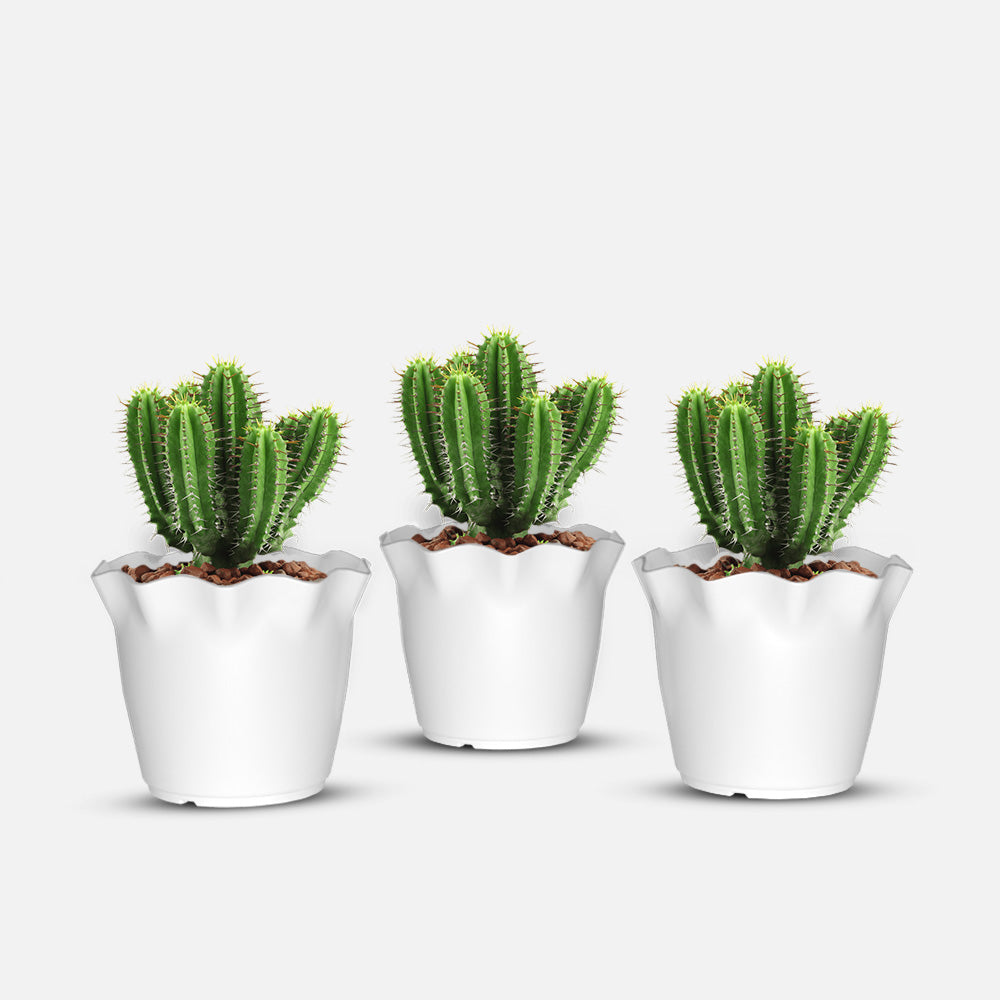 SHERA | FLOWER PLANTER