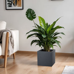 FOX B | CUBO PLANTER