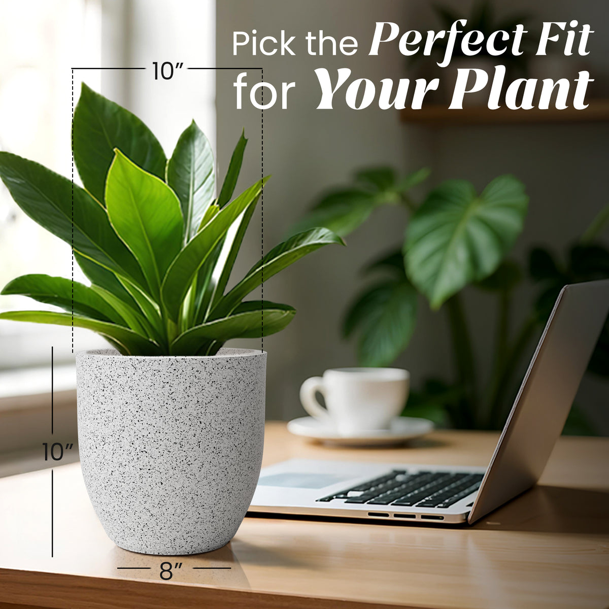 FOX B | P CUP PLANTER 6 INCH TO 15 INCH