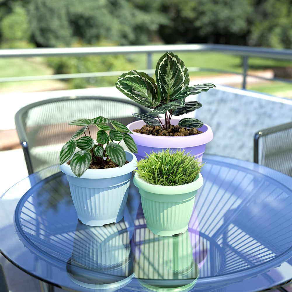 SHERA | BLOOM PLANTER