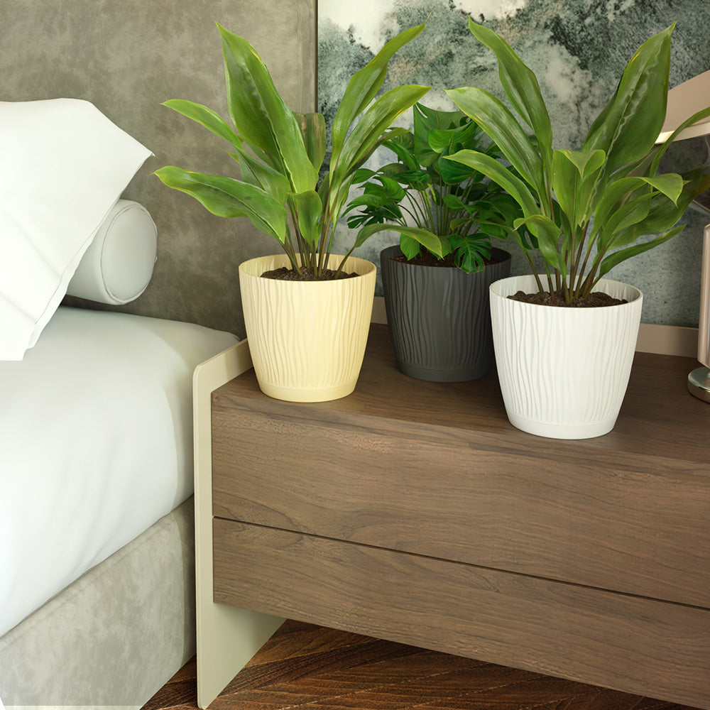 SHERA | EVA PLANTER