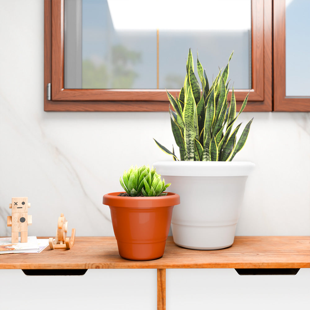 SHERA | SD PLANTER