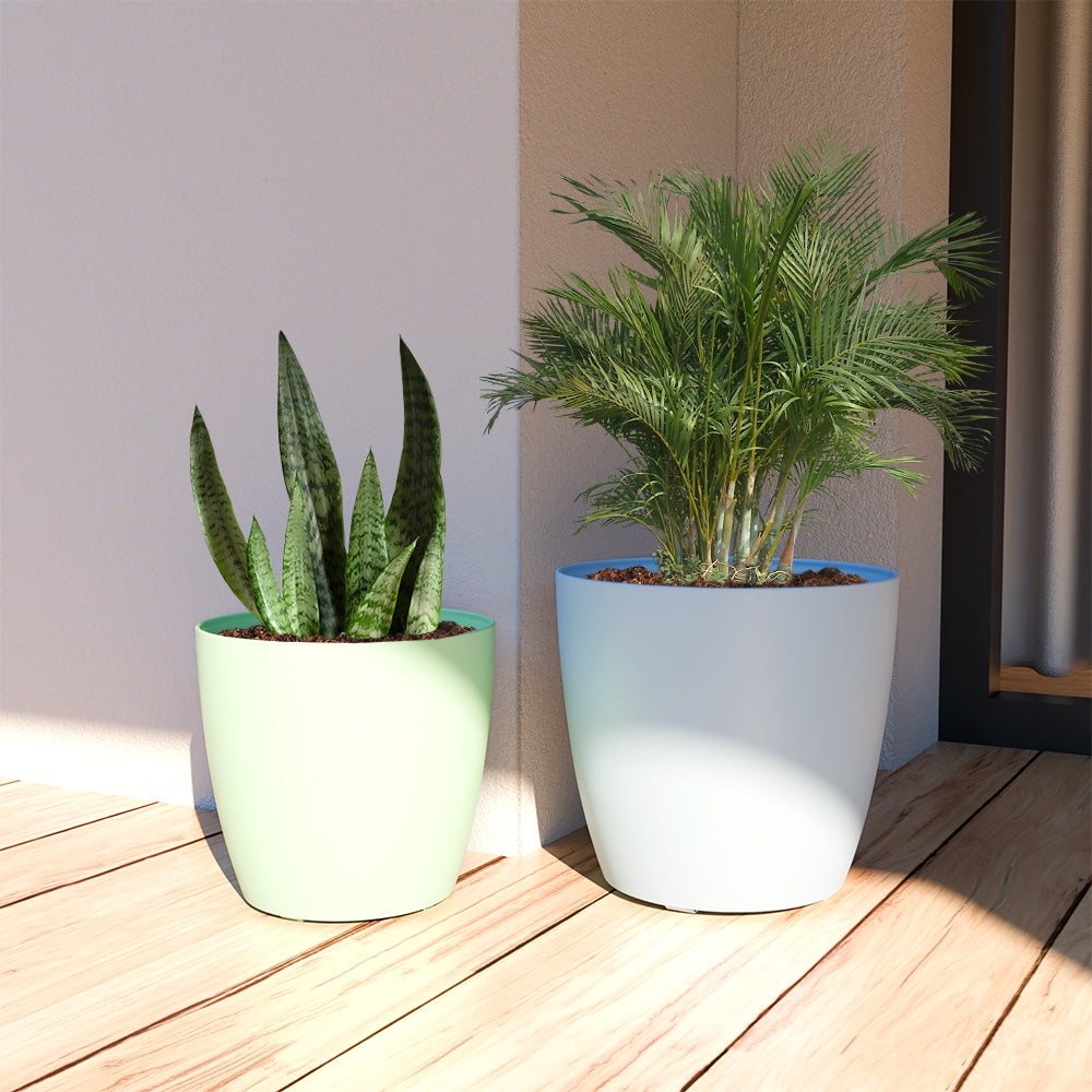 SHERA | STELLA GARDEN PLANTER