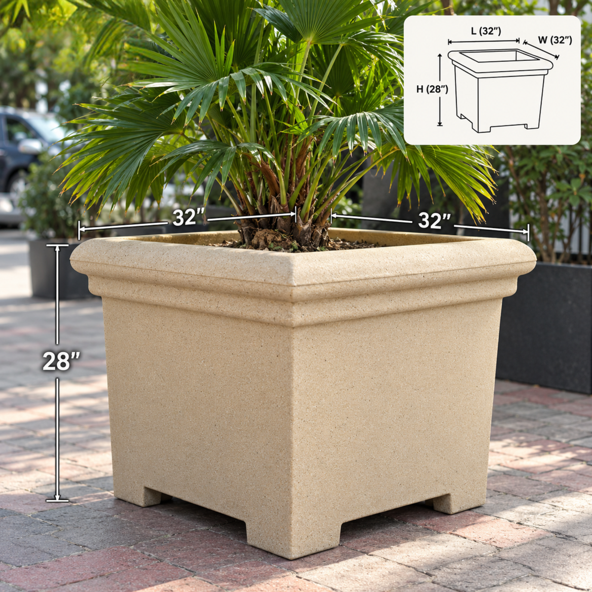 FOX B | BS PLANTER