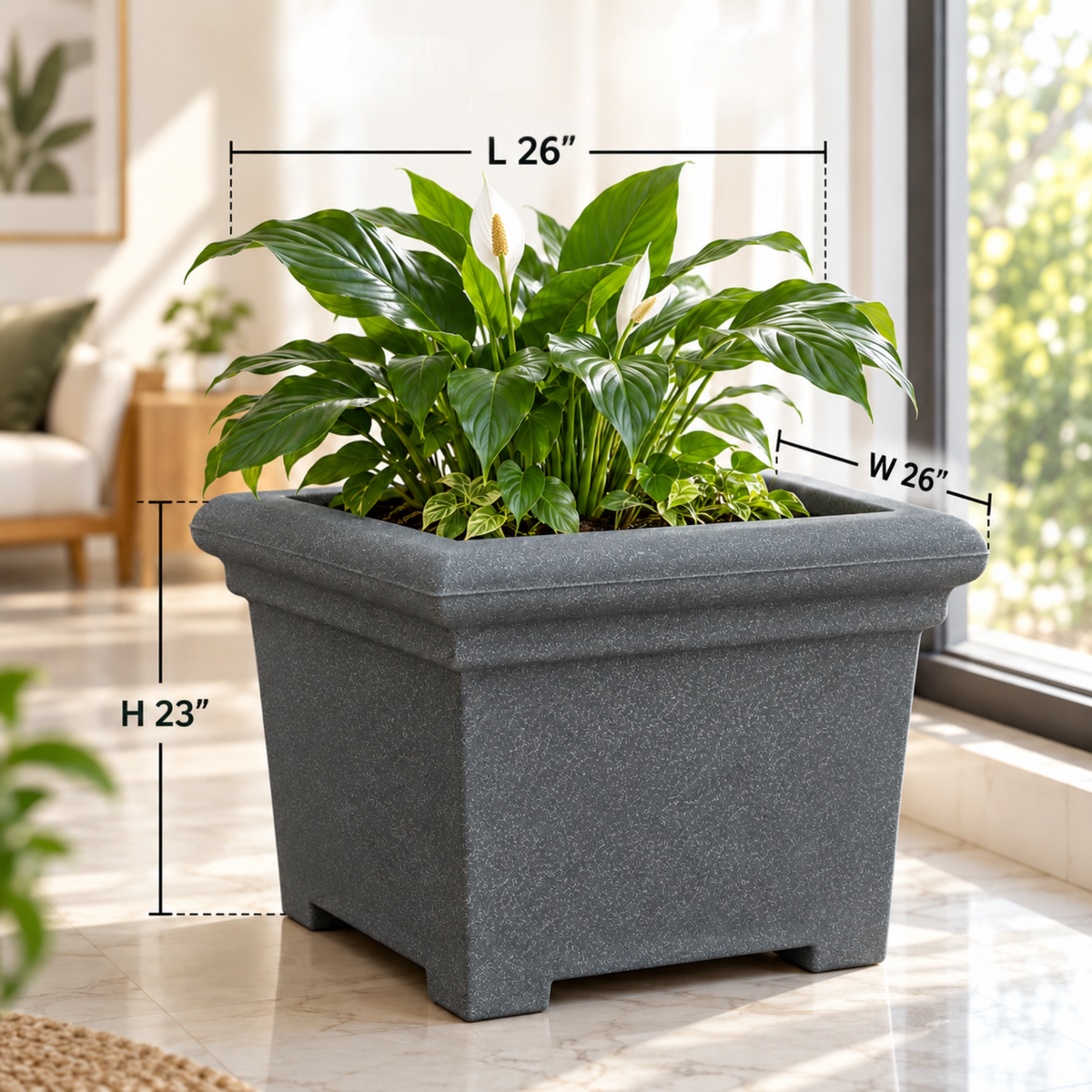 FOX B | BS PLANTER