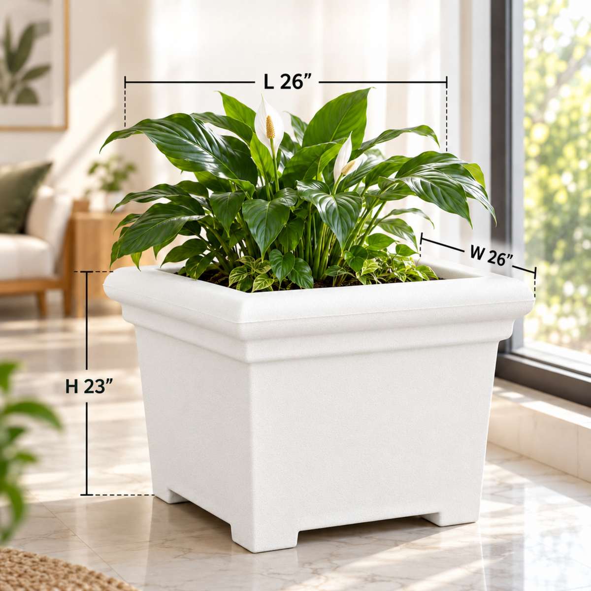 FOX B | BS PLANTER