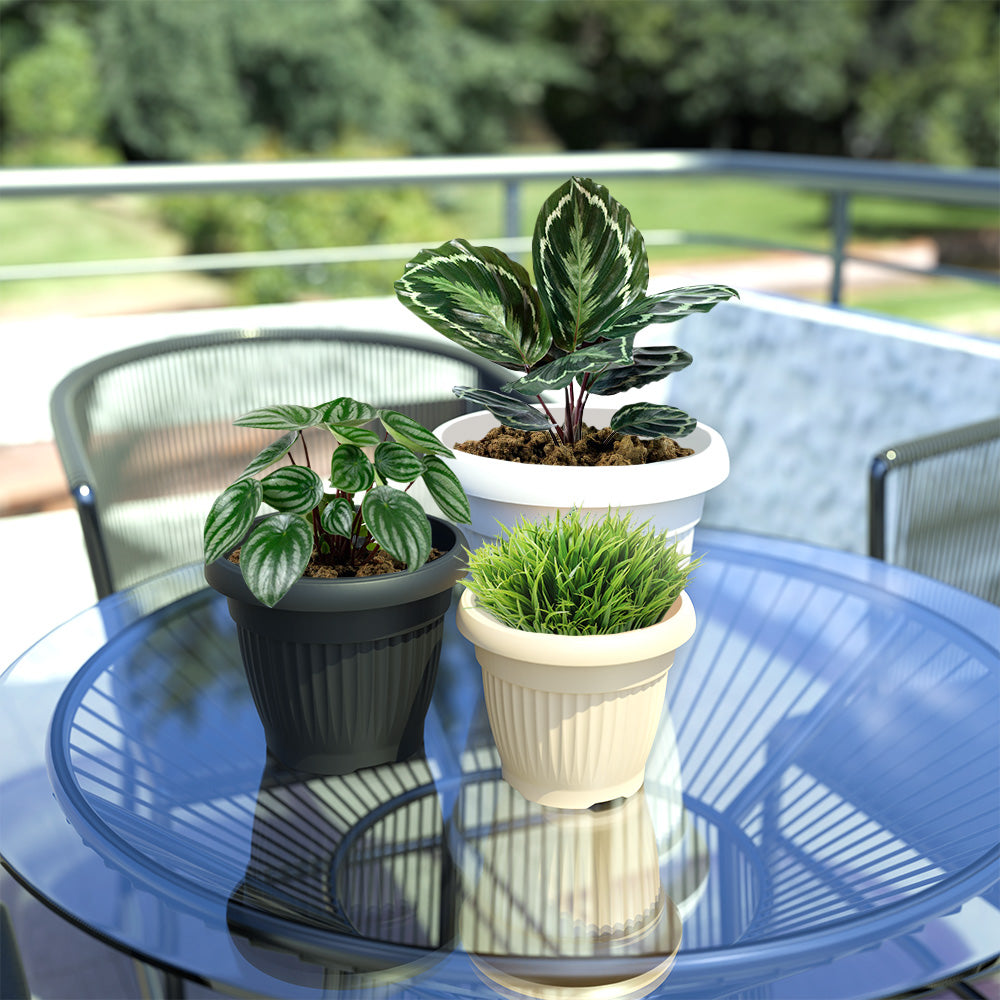 SHERA | BLOOM PLANTER