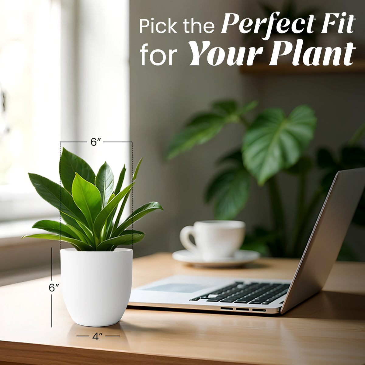 FOX B | P CUP PLANTER 6 INCH TO 15 INCH