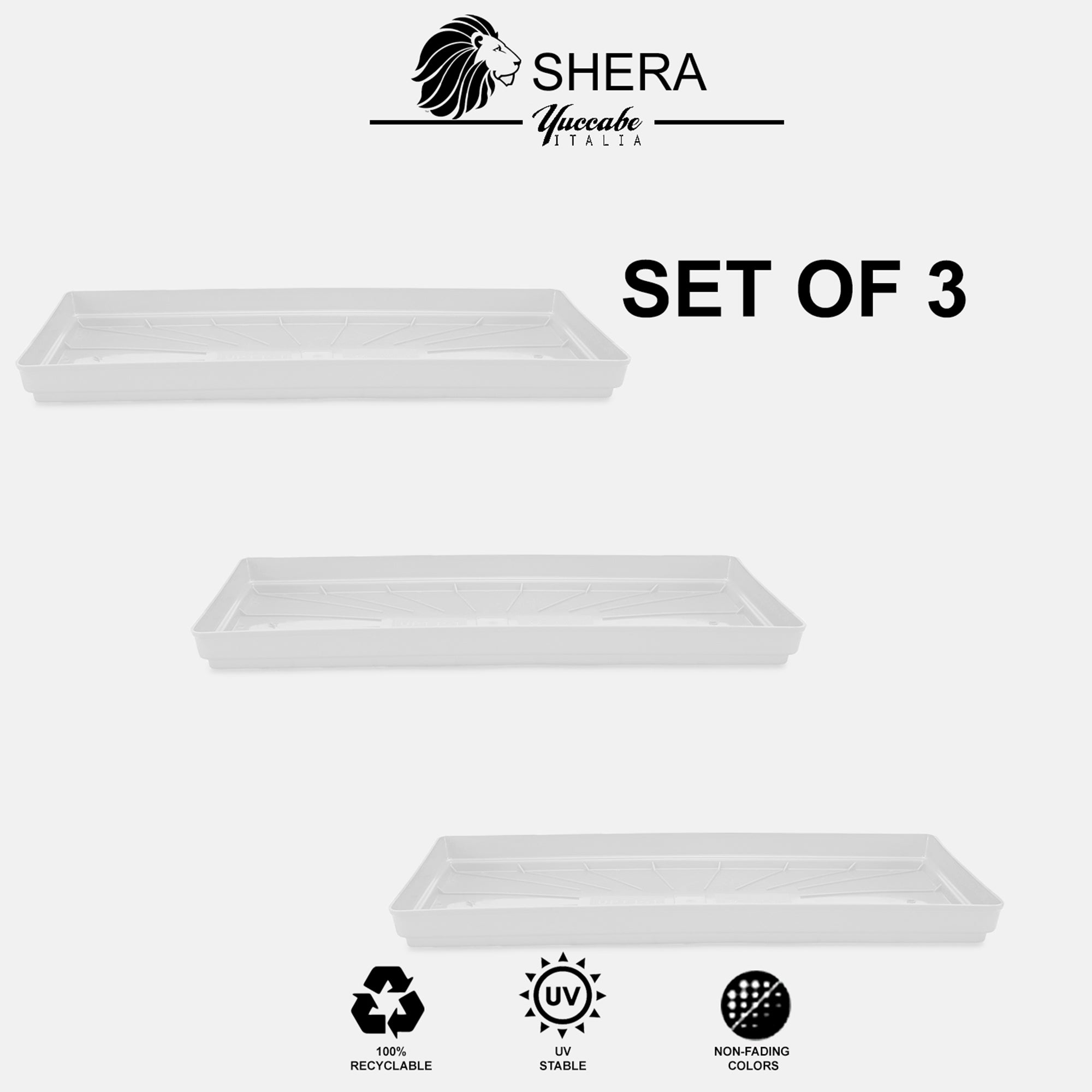 SHERA | UPTP