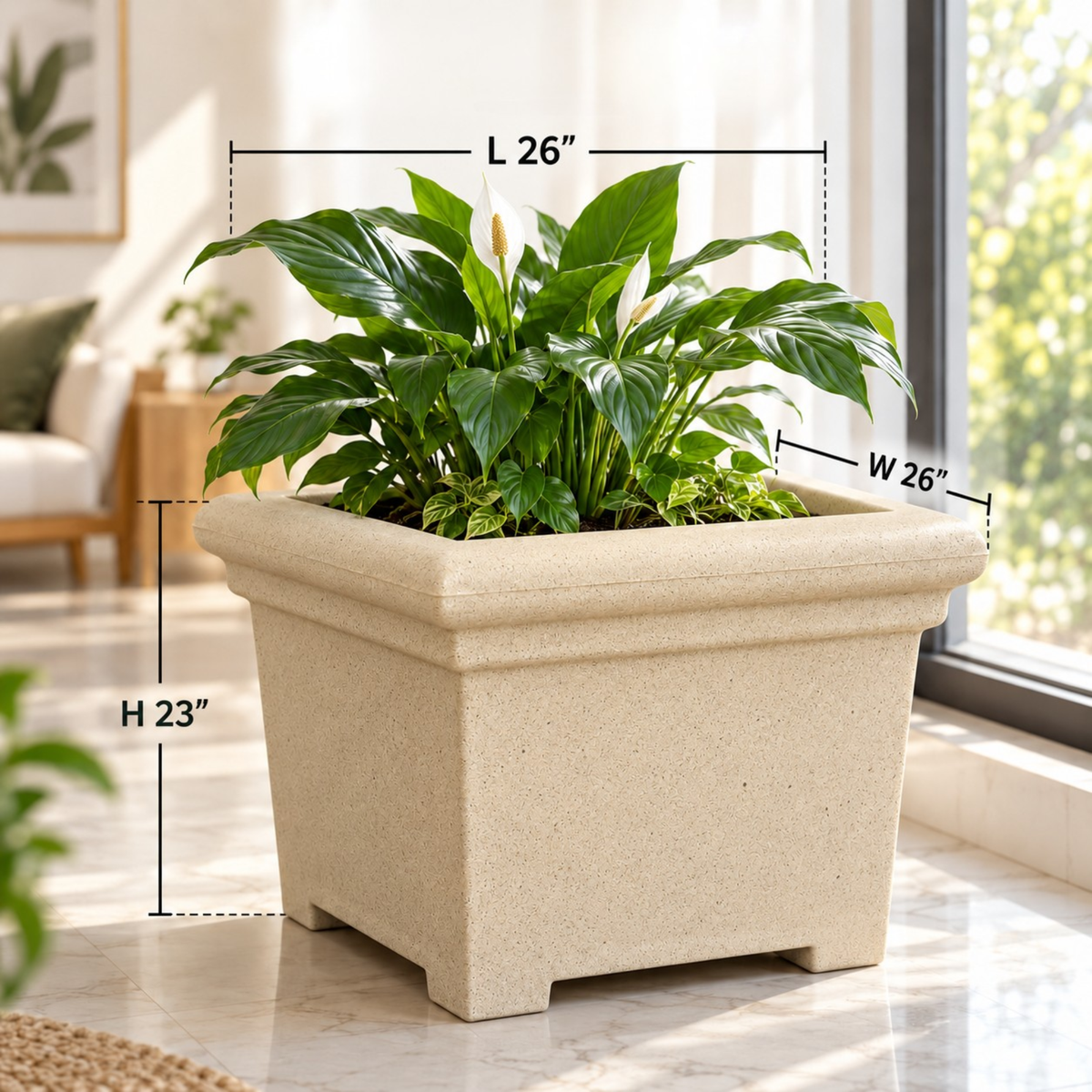 FOX B | BS PLANTER