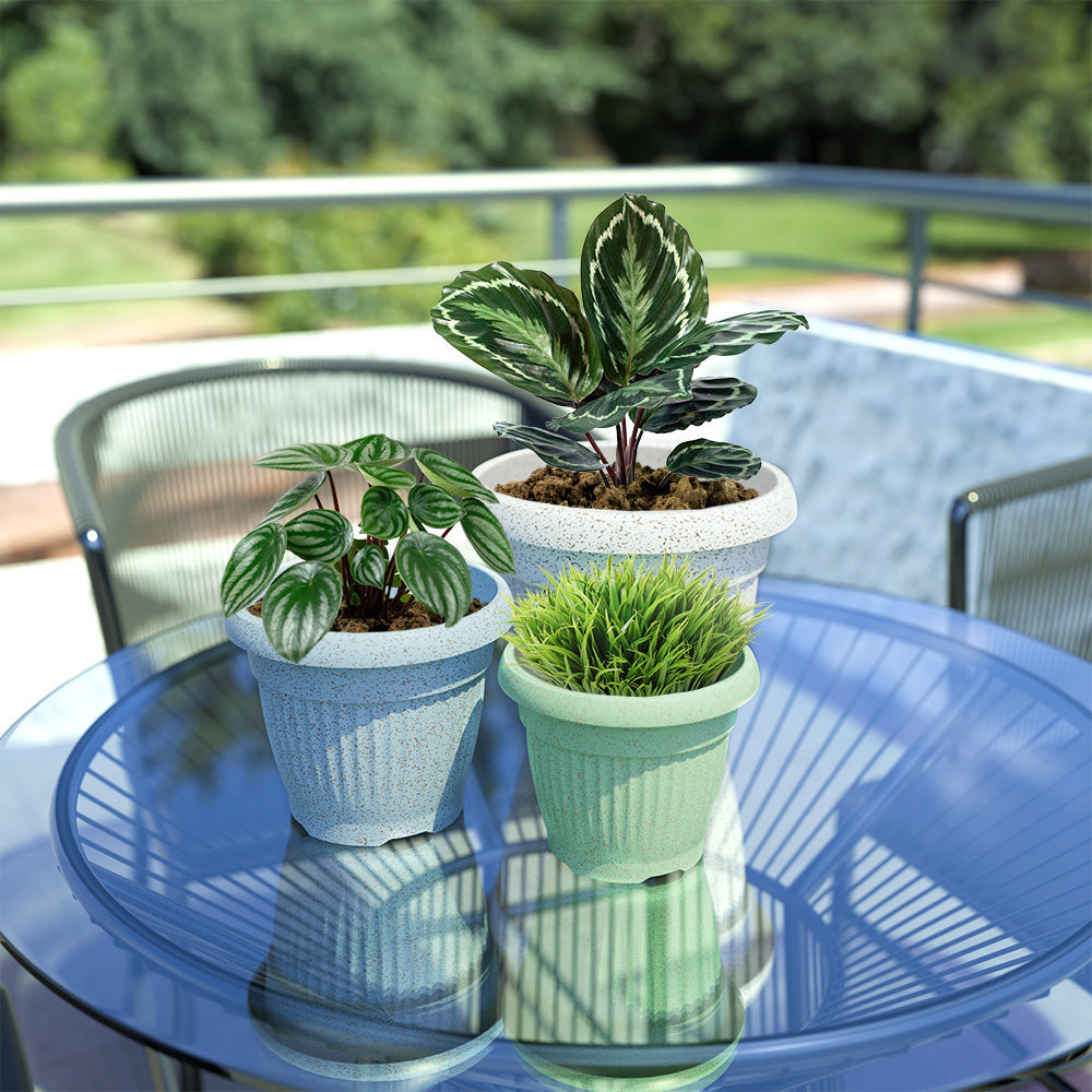 SHERA | BLOOM PLANTER