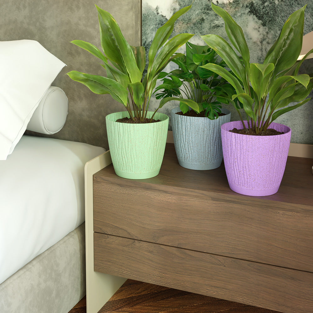 SHERA | EVA PLANTER