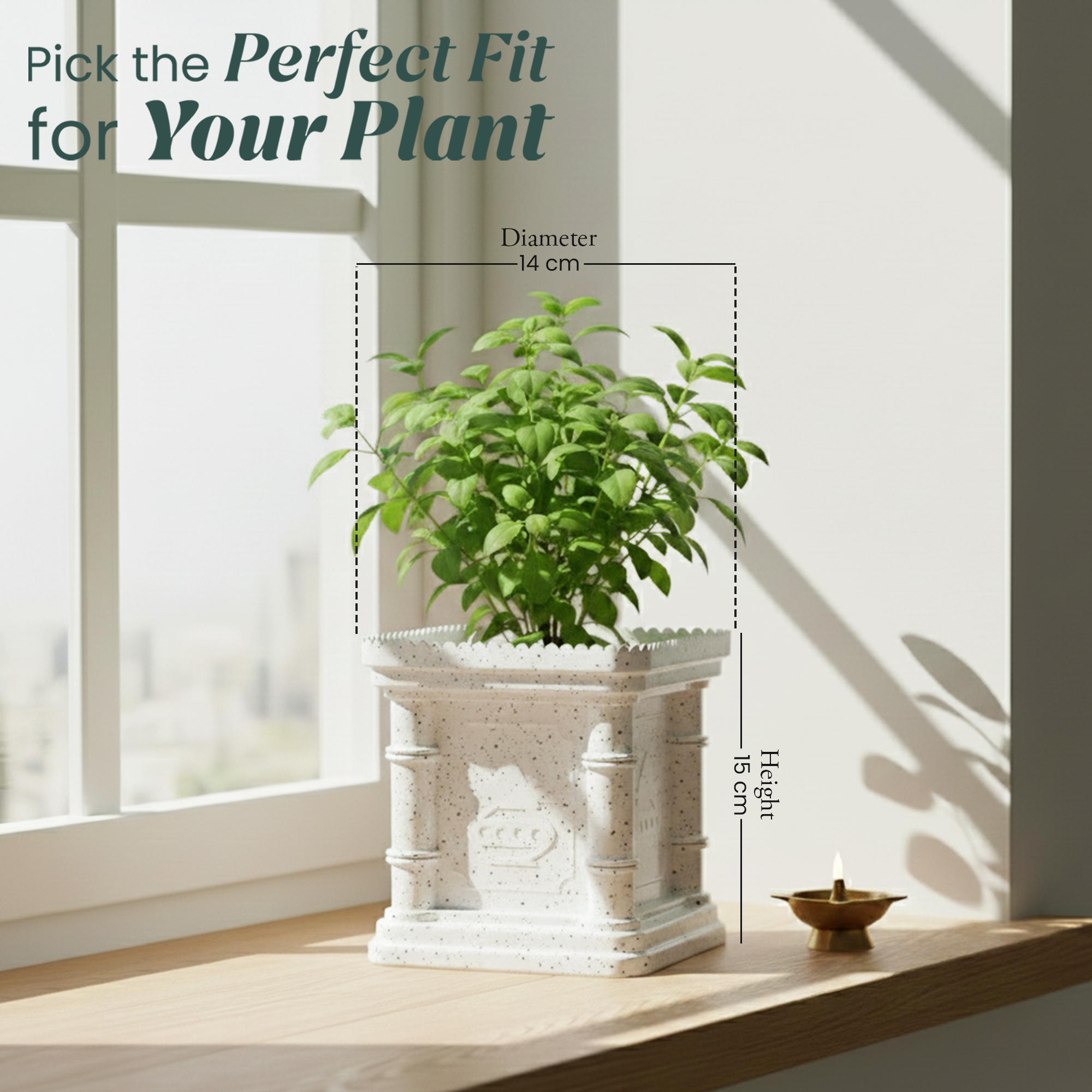 SHERA | TULSI PLANTER