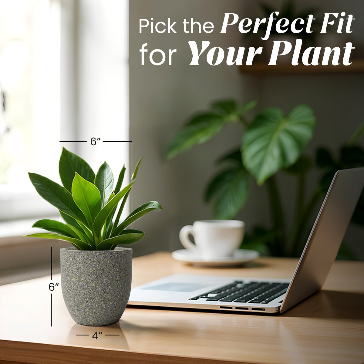 FOX B | P CUP PLANTER 6 INCH TO 15 INCH