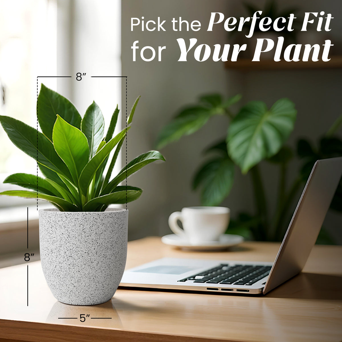 FOX B | P CUP PLANTER 6 INCH TO 15 INCH