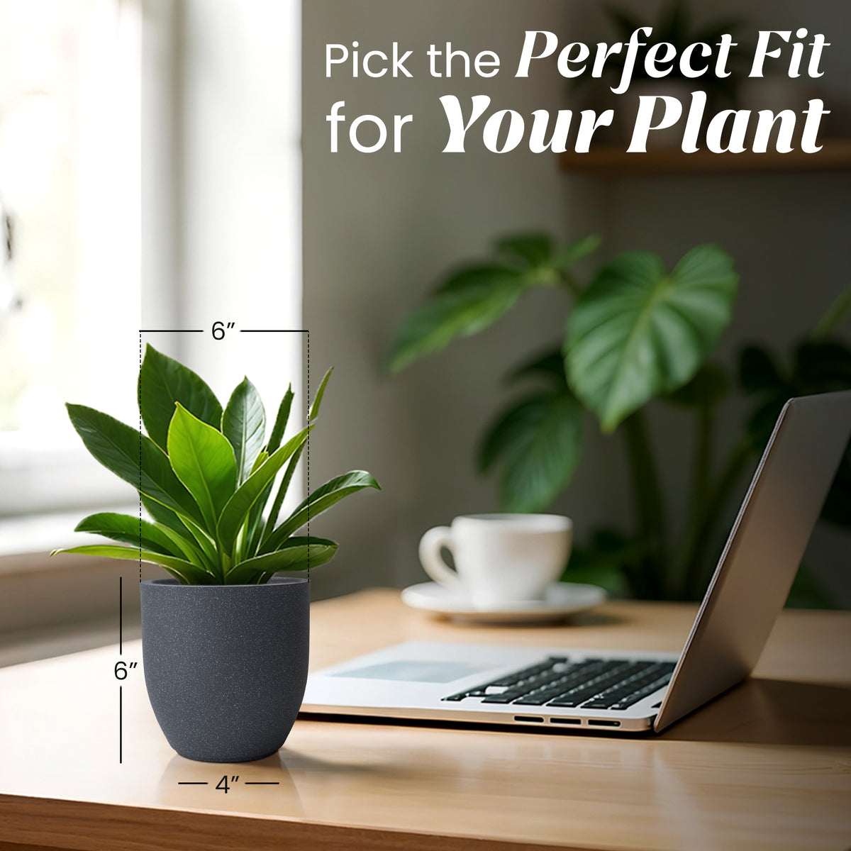 FOX B | P CUP PLANTER 6 INCH TO 15 INCH