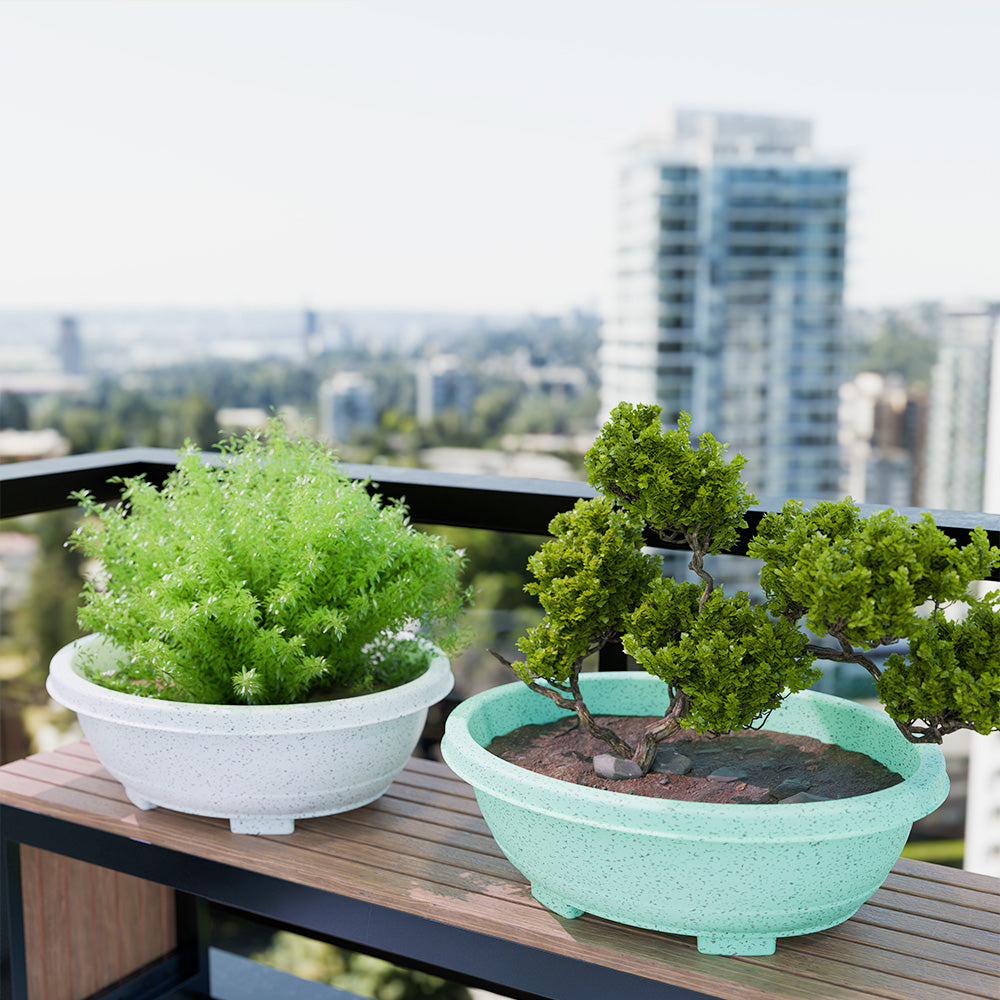 SHERA | BOTANICA BONSAI TRAY