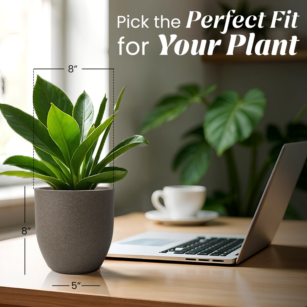 FOX B | P CUP PLANTER 6 INCH TO 15 INCH