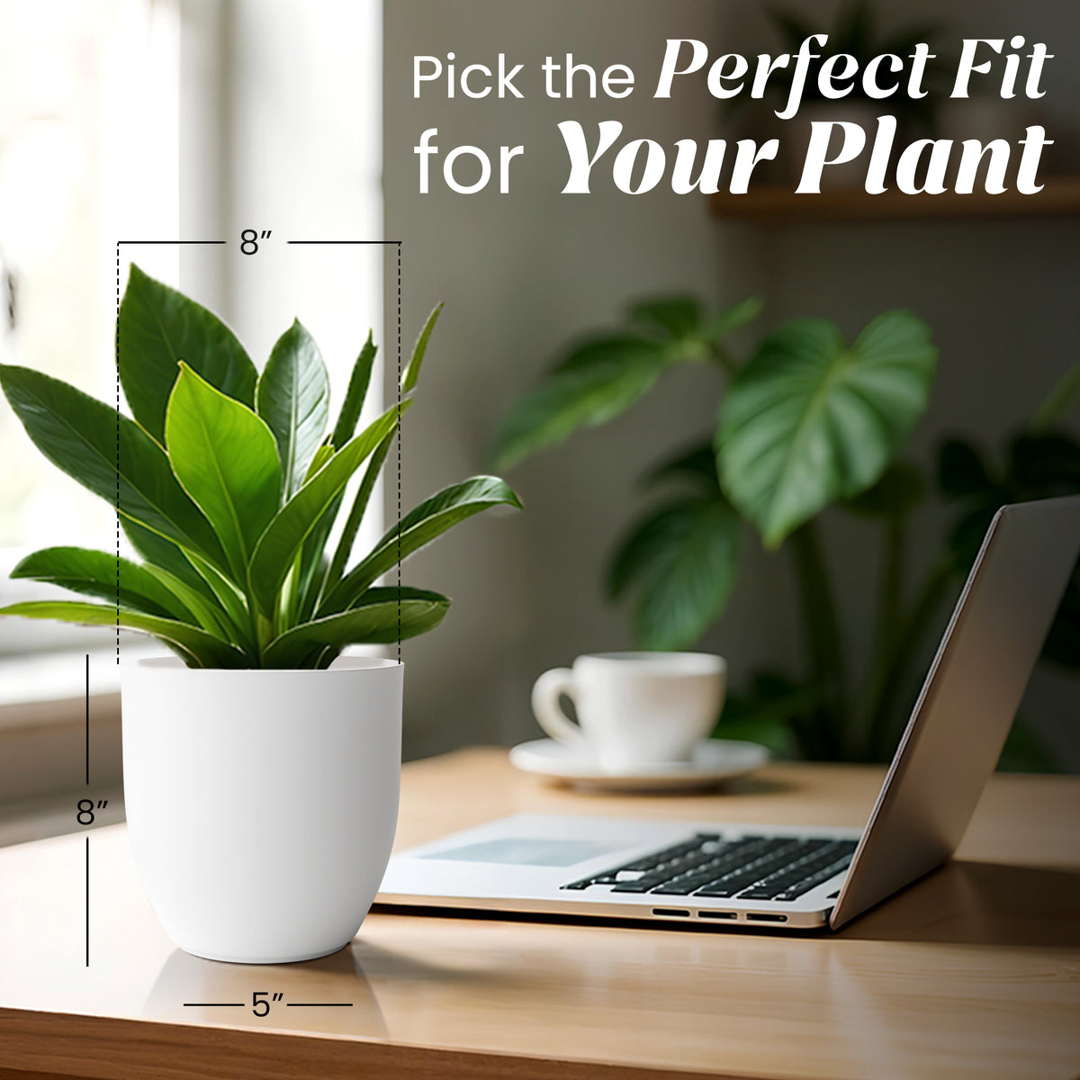 FOX B | P CUP PLANTER 6 INCH TO 15 INCH