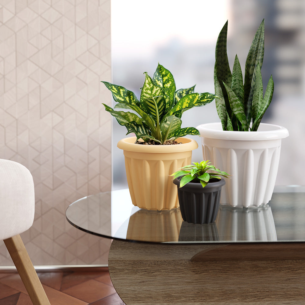 SHERA | FLOOT PLANTER