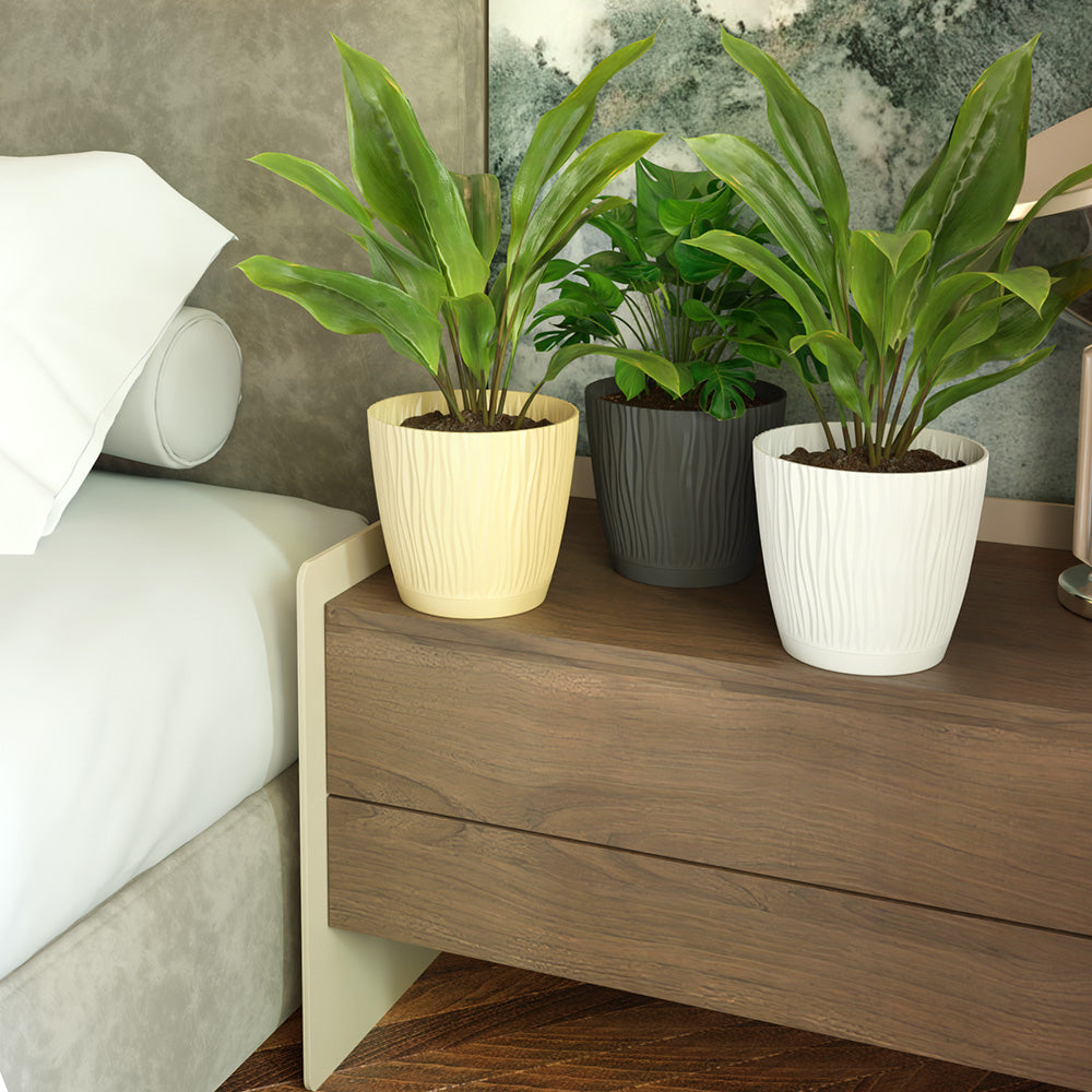 SHERA | EVA PLANTER
