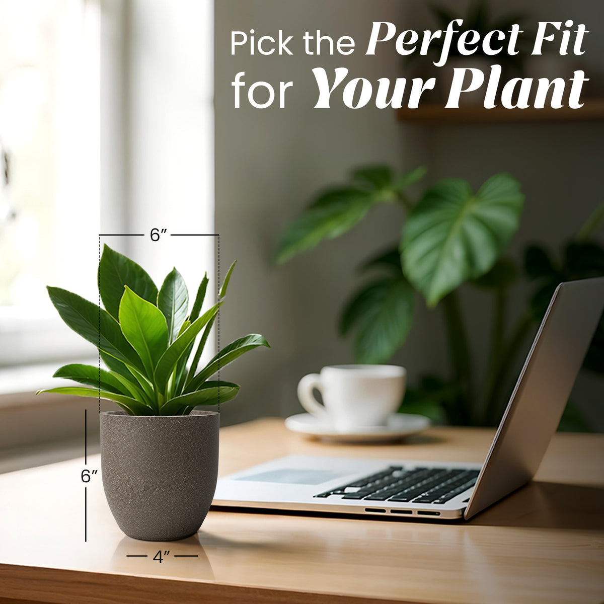 FOX B | P CUP PLANTER 6 INCH TO 15 INCH