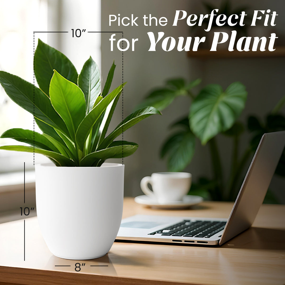 FOX B | P CUP PLANTER 6 INCH TO 15 INCH