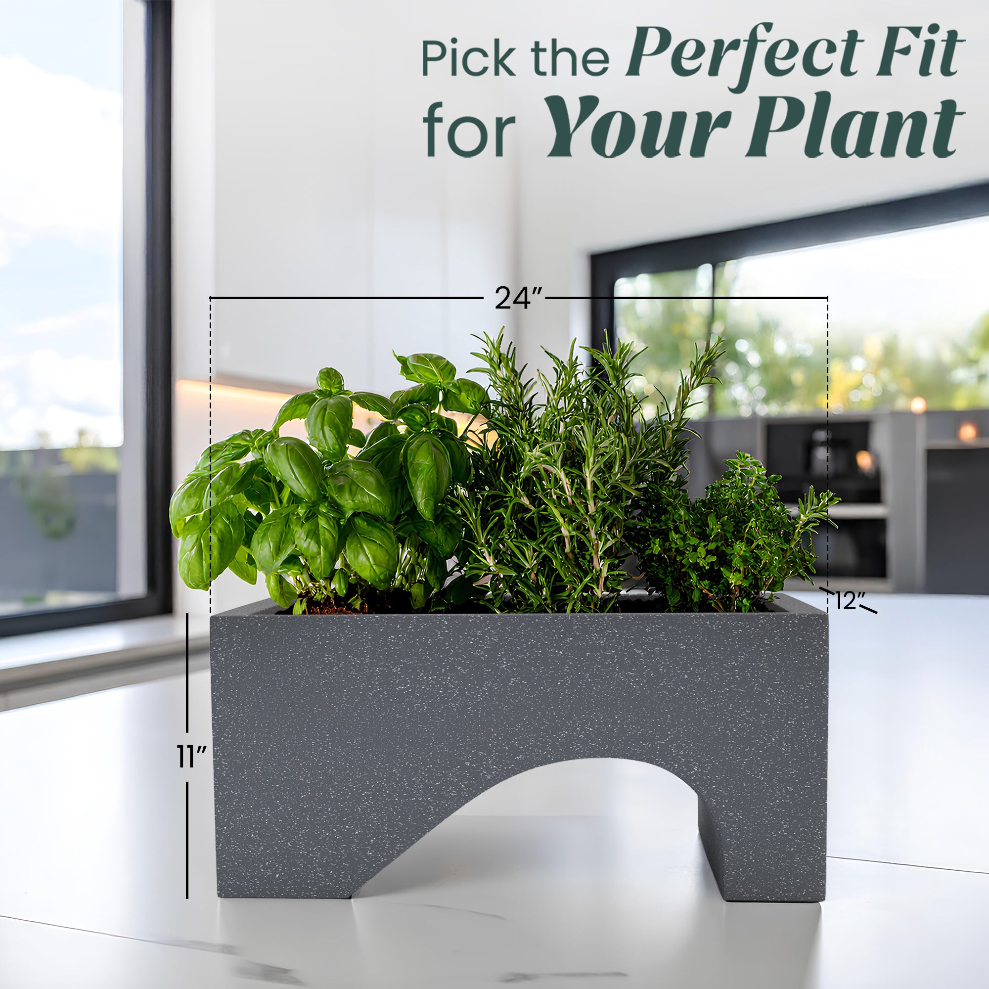 FOX B | UCTR PLANTER