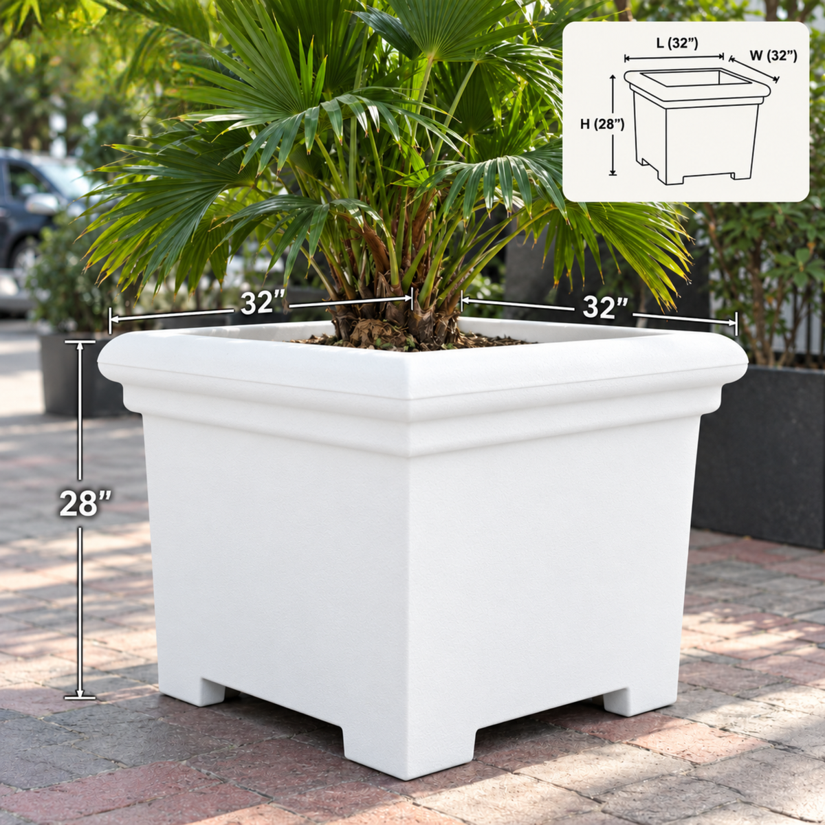 FOX B | BS PLANTER