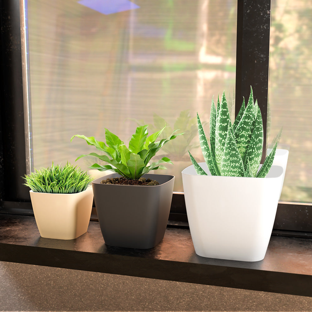 SHERA | STOIC PLANTER