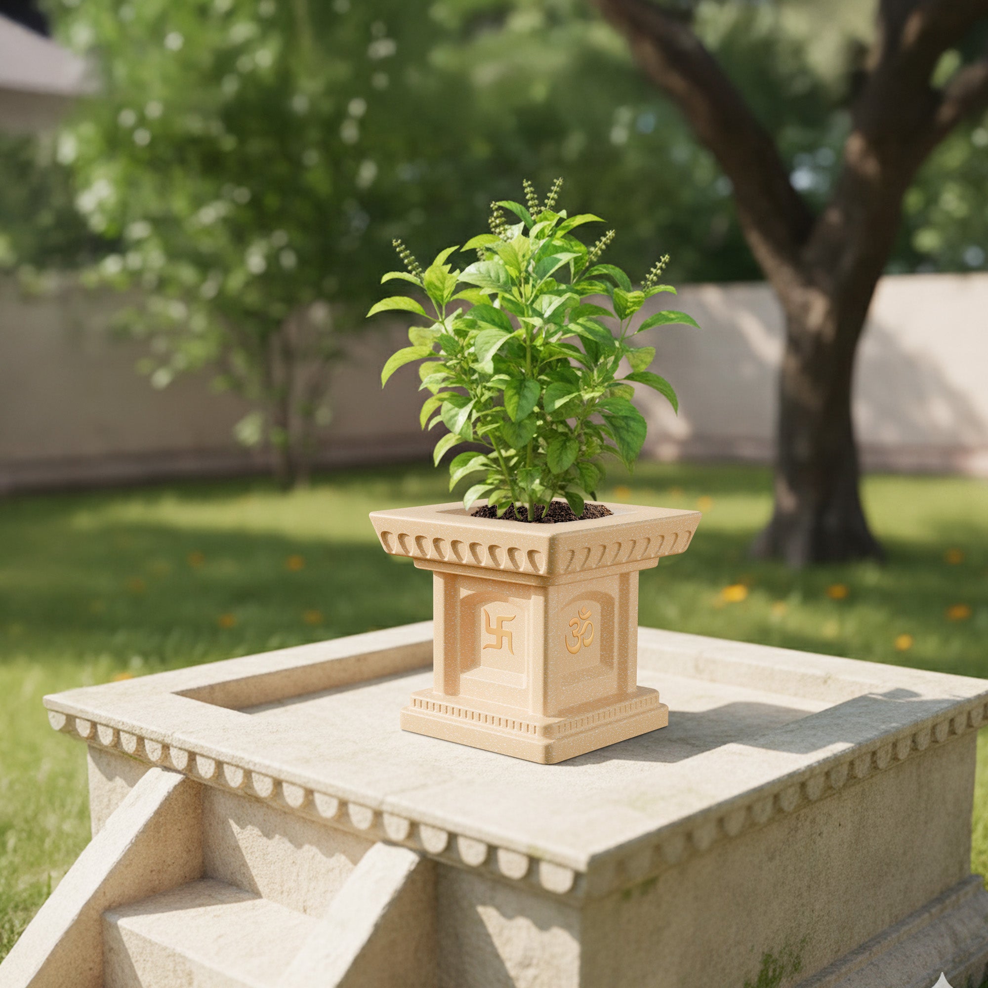 FOX B | TULSI PLANTER