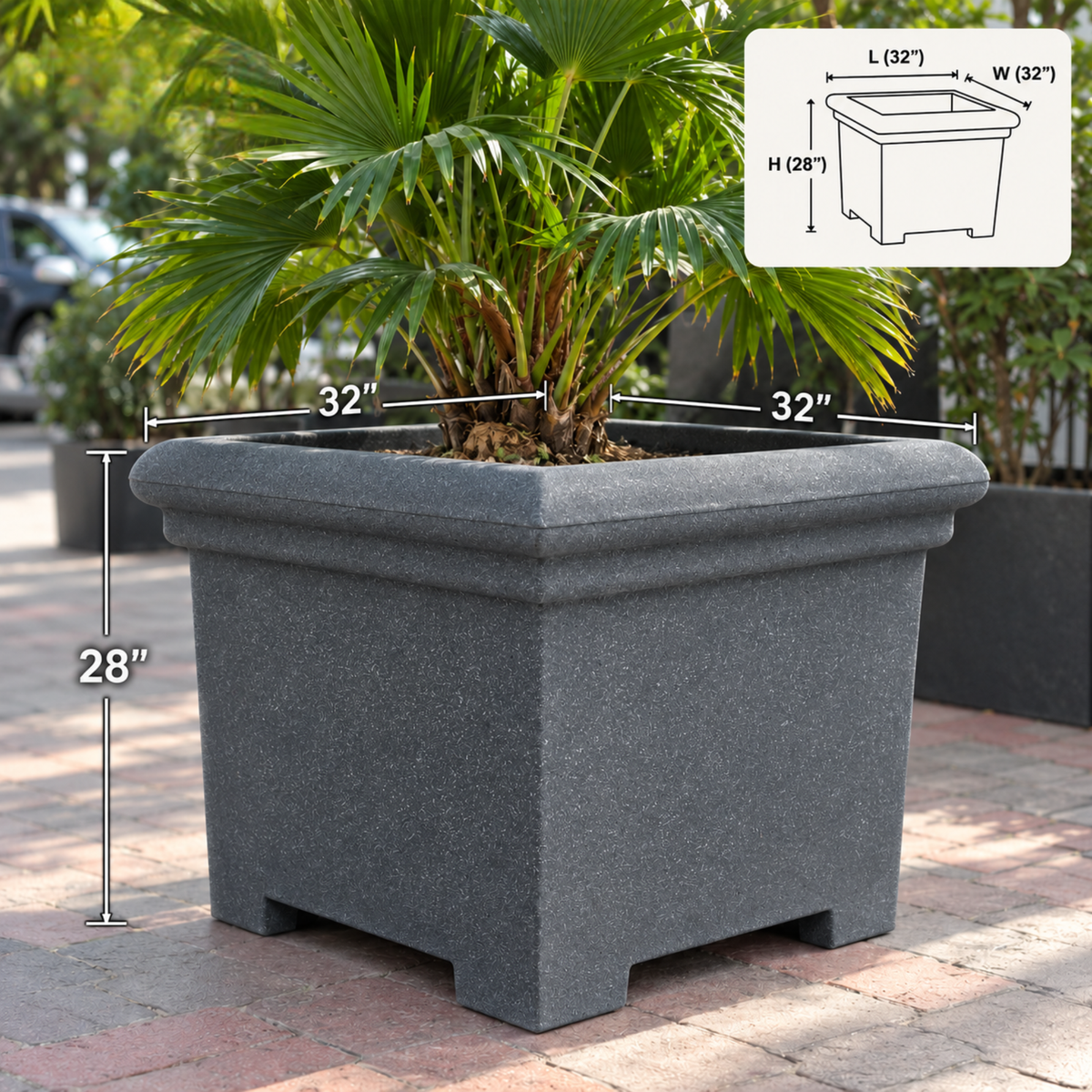 FOX B | BS PLANTER