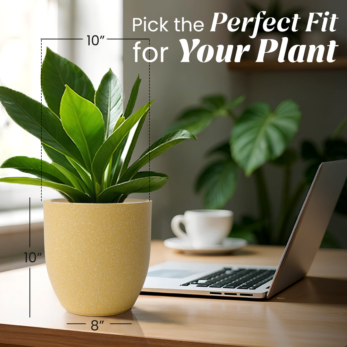 FOX B | P CUP PLANTER 6 INCH TO 15 INCH