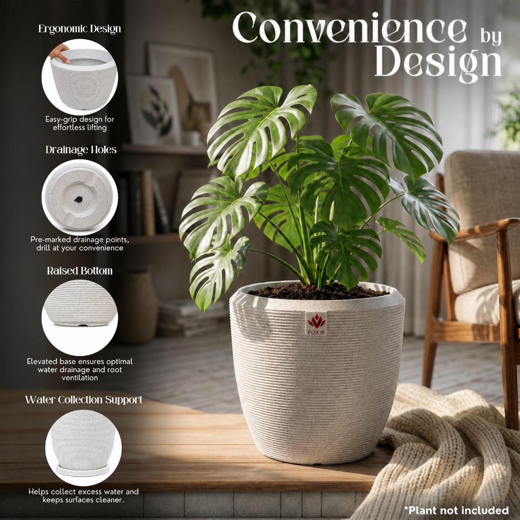 FOX B | CHIA