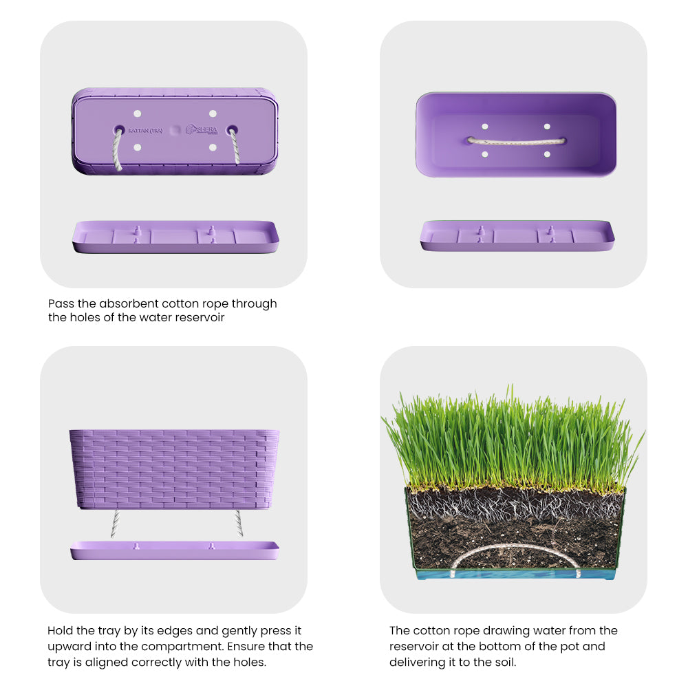 SHERA | RATTAN TRAY