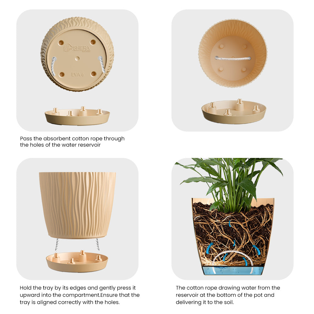 SHERA | EVA PLANTER