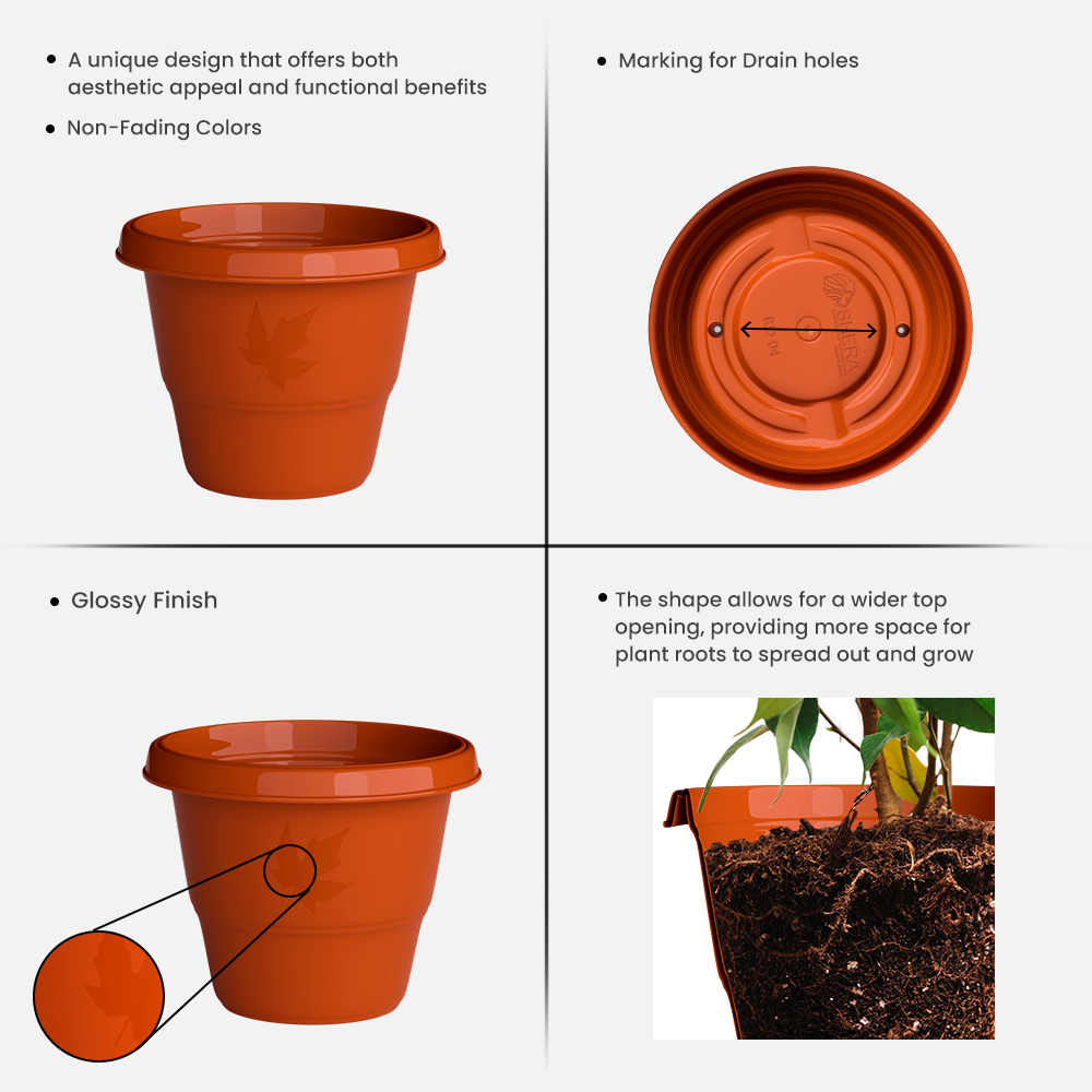 SHERA | RD PLANTER 14 INCH TO 20 INCH