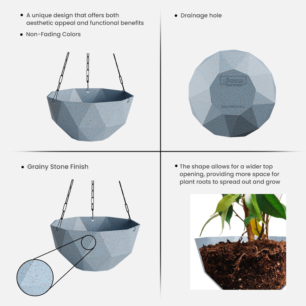 SHERA | DMD KTR BIO HANGING