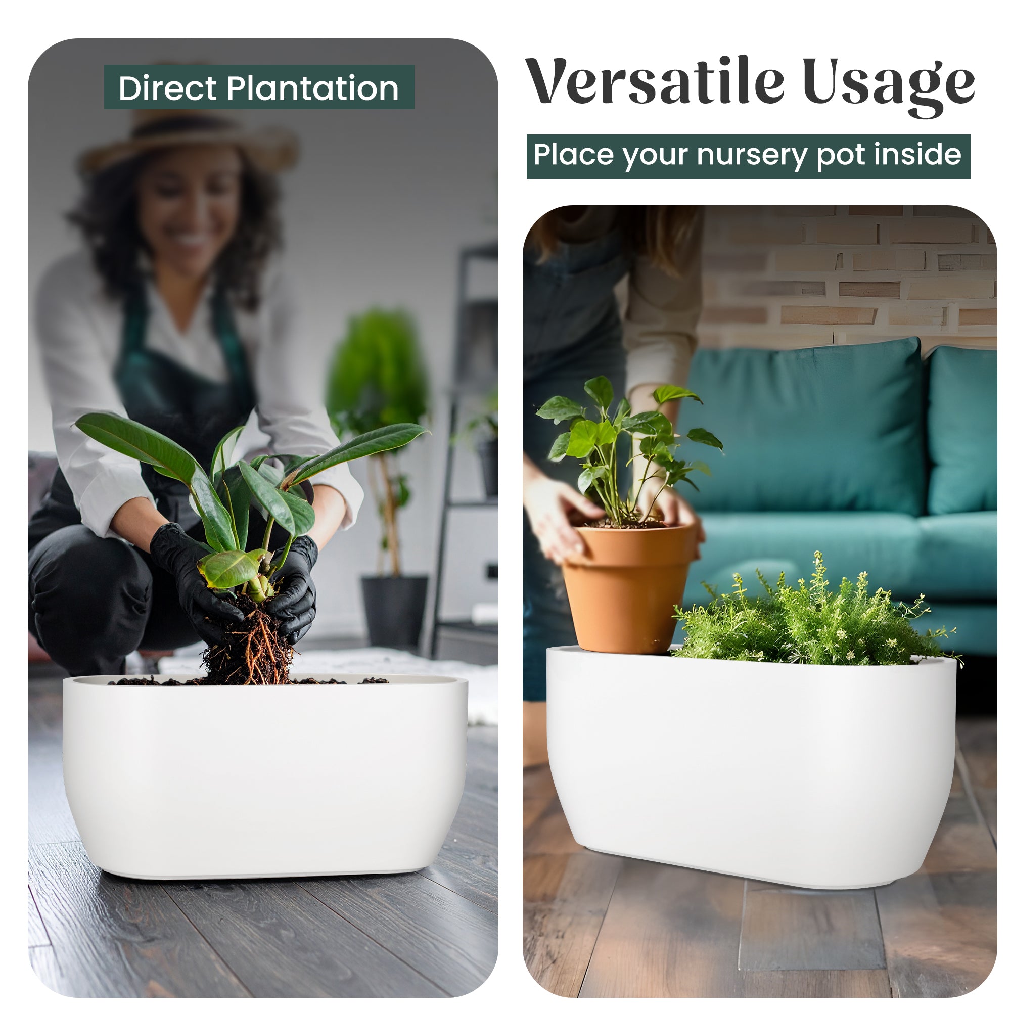 FOX B | PCTR PLANTER