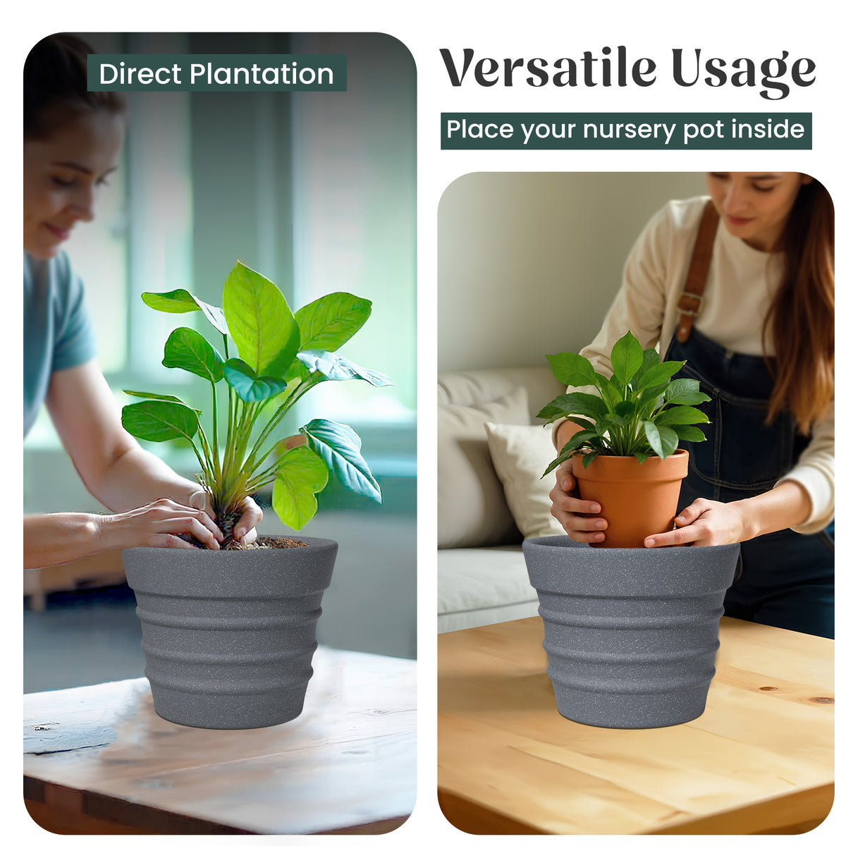 FOX B | BR PLANTER