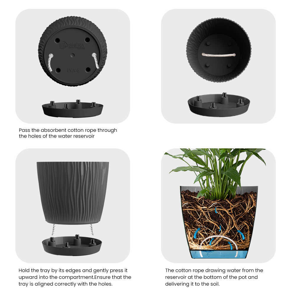 SHERA | EVA PLANTER