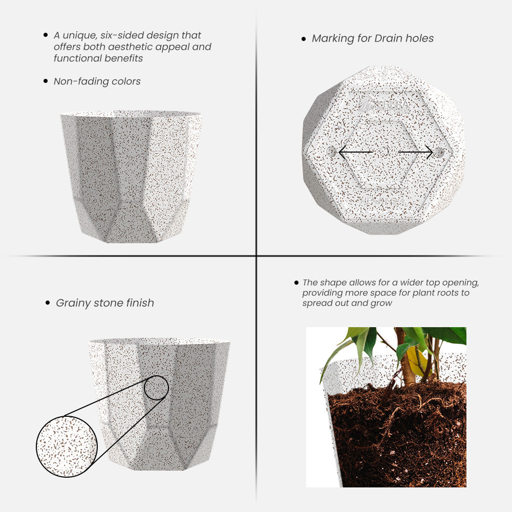 SHERA | HEXA PLANTER