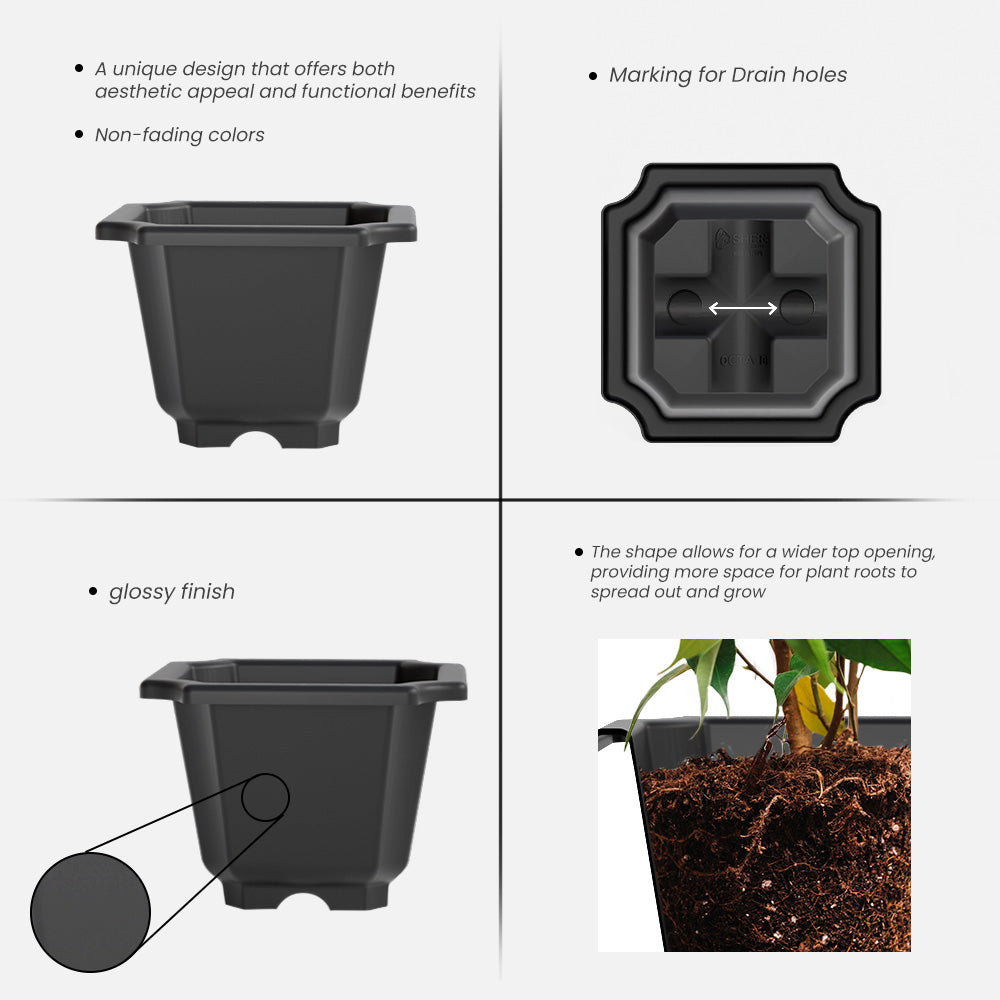 SHERA | OCTA PLANTER SET OF 6
